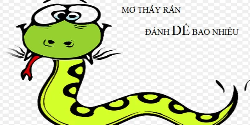 Những con số liên quan tới việc nằm mơ thấy rắn to&nbsp;